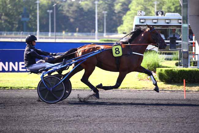 Photo d'arrivée de la course pmu PRIX SIRI à PARIS-VINCENNES le Mardi 13 juin 2023