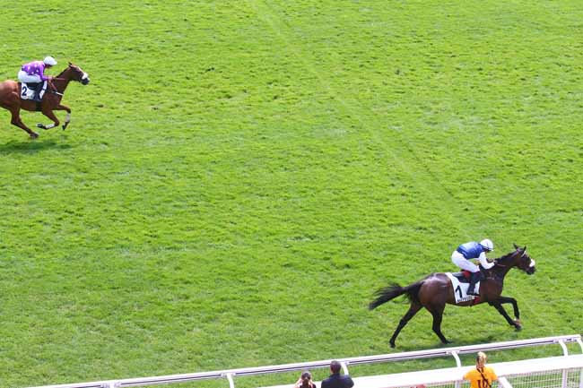 Photo d'arrivée de la course pmu PRIX DU VESINET à AUTEUIL le Samedi 17 juin 2023