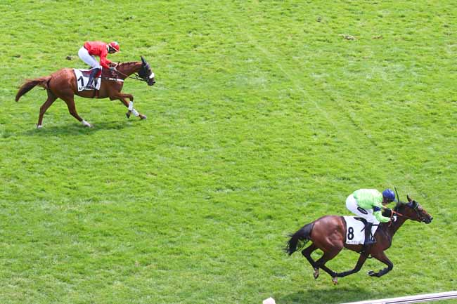 Photo d'arrivée de la course pmu PRIX CHRISTIAN DE TREDERN à AUTEUIL le Samedi 17 juin 2023