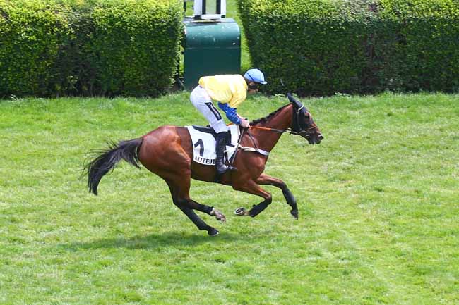 Photo d'arrivée de la course pmu PRIX GILBERT GALLOT à AUTEUIL le Samedi 17 juin 2023