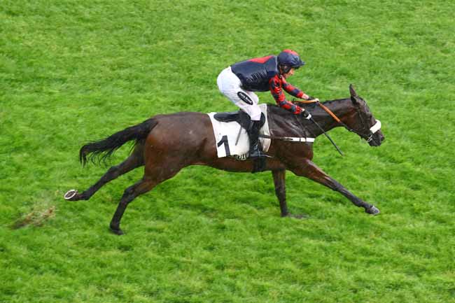 Photo d'arrivée de la course pmu PRIX DANIEL LESCALLE à AUTEUIL le Samedi 17 juin 2023