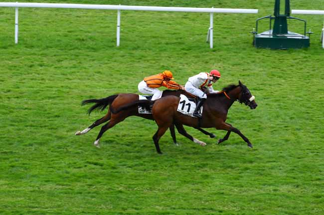 Photo d'arrivée de la course pmu PRIX DE TRIE-CHATEAU à SAINT CLOUD le Lundi 19 juin 2023