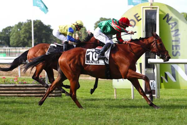 Photo d'arrivée de la course pmu PRIX ANAPACK (PRIX BELLAMY) à NANTES le Mardi 20 juin 2023