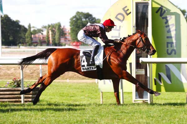 Photo d'arrivée de la course pmu GRAND PRIX ANJOU BRETAGNE - HARAS DU SAZ à NANTES le Mardi 20 juin 2023