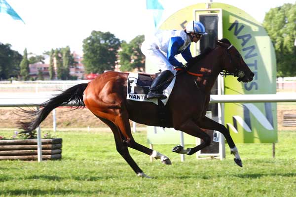 Photo d'arrivée de la course pmu PRIX REVERDY à NANTES le Mardi 20 juin 2023