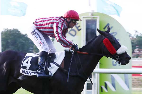 Photo d'arrivée de la course pmu PRIX LITRIMARCHE (PRIX DE COUFFE) à NANTES le Mardi 20 juin 2023