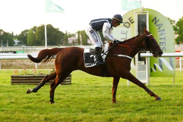 Photo d'arrivée de la course pmu PRIX GERALD DE ROCHEFORT à NANTES le Mardi 20 juin 2023