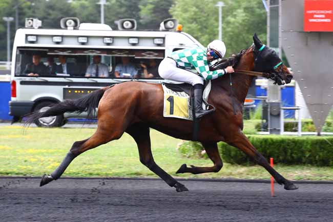 Photo d'arrivée de la course pmu PRIX HENRI DURAND à PARIS-VINCENNES le Mardi 20 juin 2023