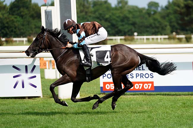 Photo d'arrivée de la course pmu PRIX DU CABINET VETERINAIRE «VET A LA HUME» à LA TESTE DE BUCH le Jeudi 22 juin 2023