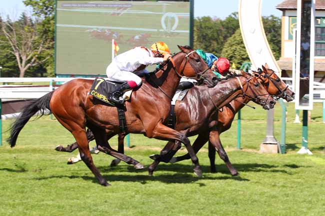Photo d'arrivée de la course pmu GRAND PRIX DE COMPIEGNE - 5E ETAPE DU DEFI DU GALOP à COMPIEGNE le Samedi 24 juin 2023