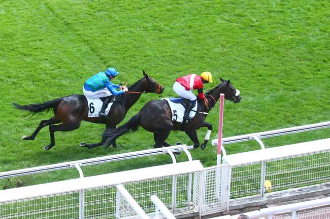 Photo d'arrivée de la course pmu PRIX GERALD DE ROCHEFORT à AUTEUIL le Mardi 27 juin 2023