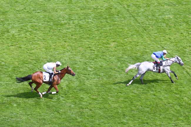 Photo d'arrivée de la course pmu PRIX DAWN RUN à AUTEUIL le Mardi 27 juin 2023