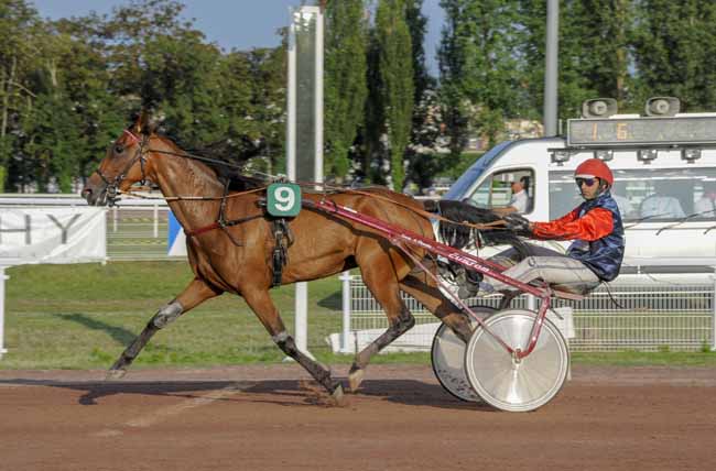 Photo d'arrivée de la course pmu PRIX DU PERCHE à VICHY le Mercredi 28 juin 2023