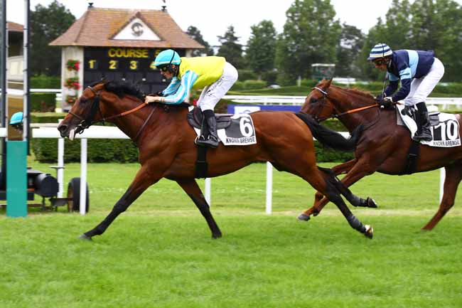 Photo d'arrivée de la course pmu PRIX UAP COMPRESSEURS (PRIX DU MANOIR DES GENS D'ARMES) à CLAIREFONTAINE le Vendredi 30 juin 2023