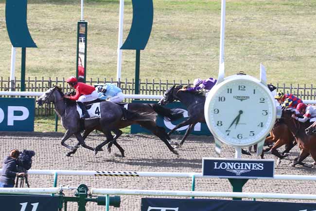 Photo d'arrivée de la course pmu PRIX DE L'ANCIEN CANTON DE CHANTILLY - C.P.N. à CHANTILLY le Samedi 1 juillet 2023