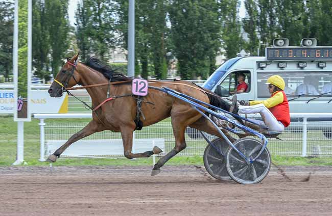 Photo d'arrivée de la course pmu PRIX RACE AND CARE (PRIX DE LAPALISSE) à VICHY le Mardi 4 juillet 2023