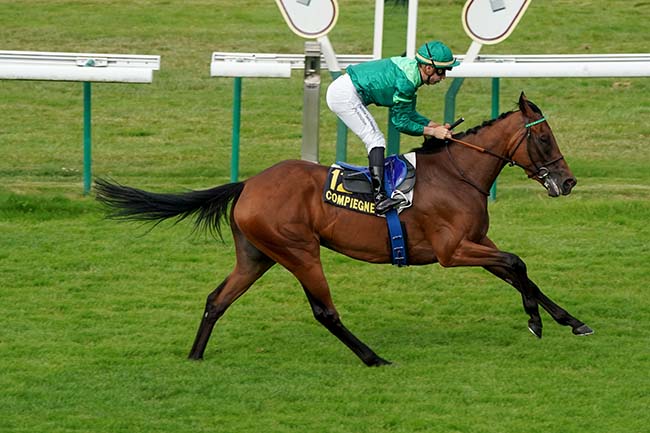 Photo d'arrivée de la course pmu PRIX DE TAILLEFONTAINE à COMPIEGNE le Mardi 4 juillet 2023