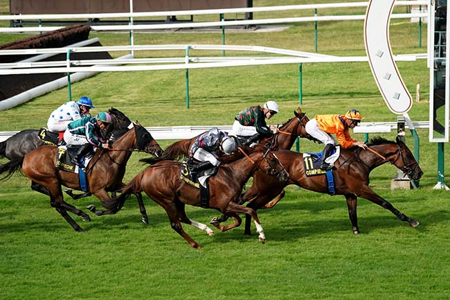 Photo d'arrivée de la course pmu PRIX DU VIVIER CORAX à COMPIEGNE le Mardi 4 juillet 2023