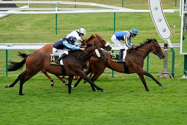 Photo d'arrivée de la course pmu PRIX D'EMEVILLE à COMPIEGNE le Mardi 4 juillet 2023