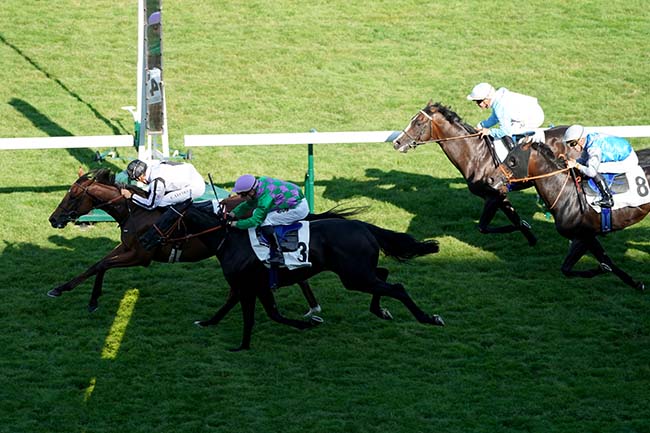 Photo d'arrivée de la course pmu PRIX DU JARDIN DE L'AVRE à LONGCHAMP le Jeudi 6 juillet 2023