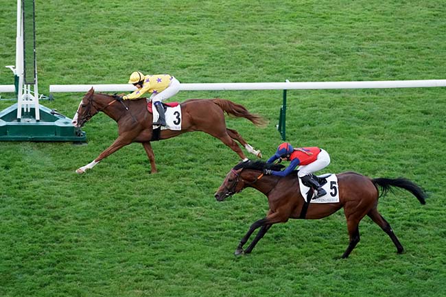 Photo d'arrivée de la course pmu PRIX DES AMAZONES - TROPHEE STUDIO HARCOURT à LONGCHAMP le Jeudi 6 juillet 2023