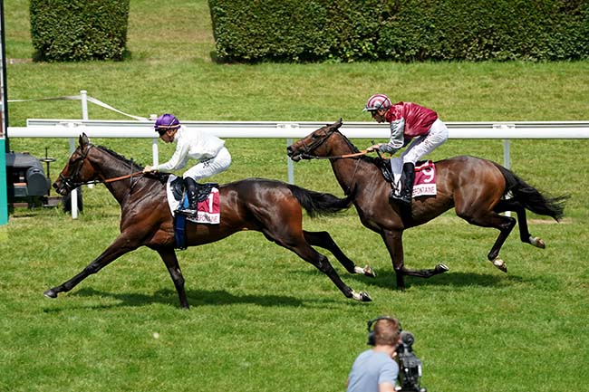 Photo d'arrivée de la course pmu PRIX SM CAEN (PRIX MATAHAWK) à CLAIREFONTAINE le Vendredi 7 juillet 2023