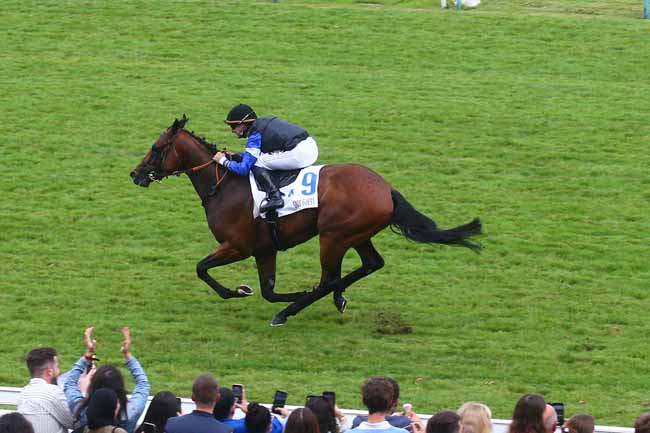 Photo d'arrivée de la course pmu HARAS D'ETREHAM PRIX JEAN PRAT à DEAUVILLE le Dimanche 9 juillet 2023