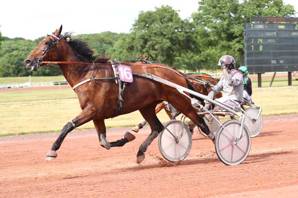 Photo d'arrivée de la course pmu PRIX DE LA VALLEE DE LA CHERE à CHATEAUBRIANT le Mardi 11 juillet 2023