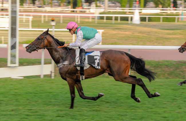 Photo d'arrivée de la course pmu PRIX CHRISTIANE HEAD à VICHY le Mardi 18 juillet 2023