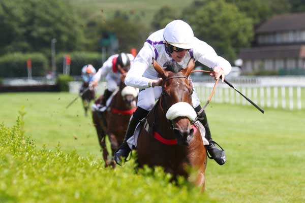 Photo d'arrivée de la course pmu PRIX MARIANA FLORES X PMPA.FR (PRIX DES HORTENSIAS) à CLAIREFONTAINE le Mercredi 19 juillet 2023