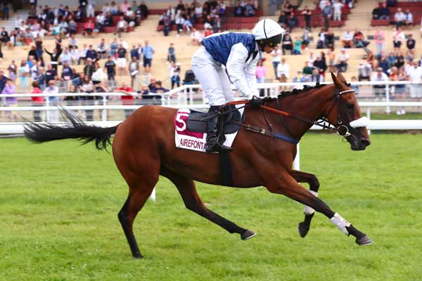 Photo d'arrivée de la course pmu PRIX MARIE PERBOST X PMPA.FR (PRIX RIGOUREUX) à CLAIREFONTAINE le Mercredi 19 juillet 2023