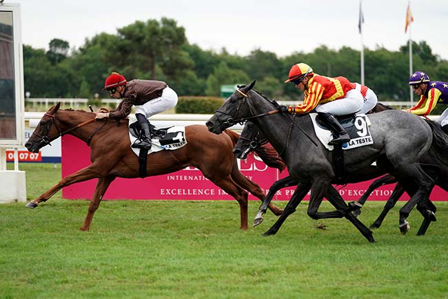 Photo d'arrivée de la course pmu PRIX ZENITUDE ARCACHON à LA TESTE DE BUCH le Dimanche 23 juillet 2023