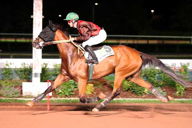 Photo d'arrivée de la course pmu PRIX DES EUPHRAISES à CABOURG le Vendredi 28 juillet 2023