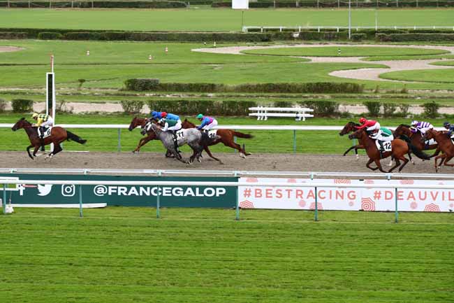 Photo d'arrivée de la course pmu PRIX DU SECOURS POPULAIRE FRANCAIS - PRIX DE LA VILLA LUCIE à DEAUVILLE le Mardi 1 août 2023