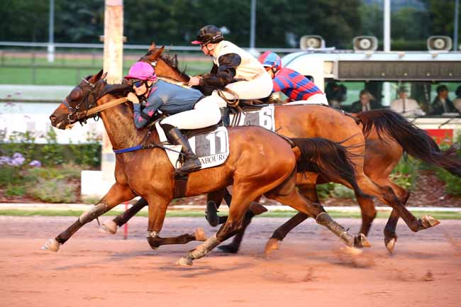 Photo d'arrivée de la course pmu PRIX LA PERLE DES DIEUX (PRIX DES HELIANTHES) à CABOURG le Vendredi 4 août 2023
