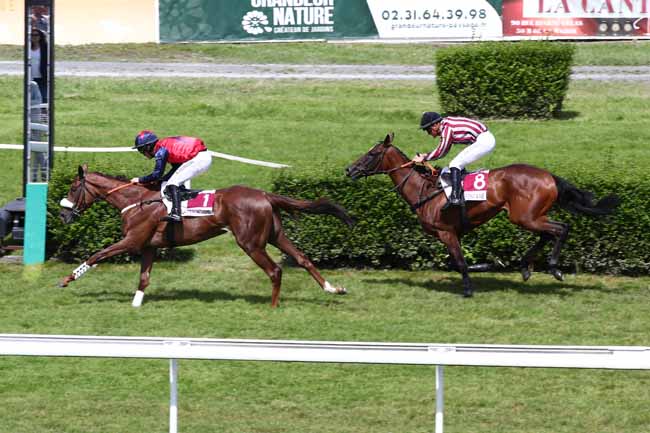Photo d'arrivée de la course pmu PRIX HORTENSE LANCESSEUR (PRIX DE LA PAQUINE) à CLAIREFONTAINE le Lundi 7 août 2023