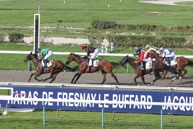 Photo d'arrivée de la course pmu PRIX DU QUAI SAINT-ETIENNE à DEAUVILLE le Dimanche 13 août 2023