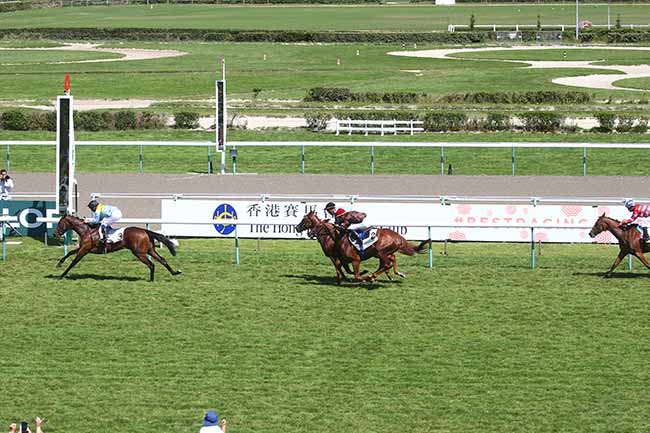 Photo d'arrivée de la course pmu PRIX DU MEZERAY à DEAUVILLE le Mardi 15 août 2023