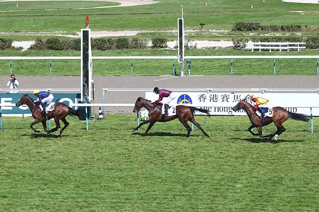 Photo d'arrivée de la course pmu PRIX D'ETREHAM à DEAUVILLE le Mardi 15 août 2023