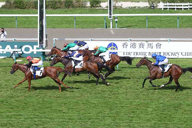 Photo d'arrivée de la course pmu PRIX DE LIEUREY - FONDS EUROPEEN DE L'ELEVAGE à DEAUVILLE le Mardi 15 août 2023