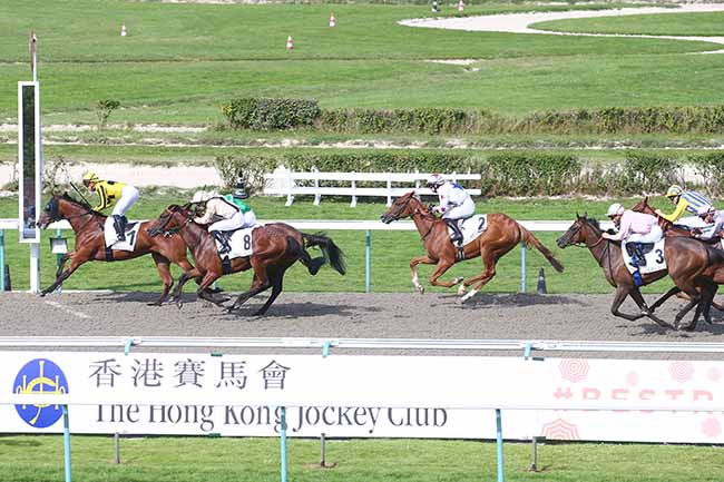 Photo d'arrivée de la course pmu PRIX DE VALMONT à DEAUVILLE le Mardi 15 août 2023