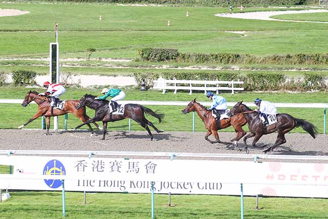 Photo d'arrivée de la course pmu PRIX DE PRE-EN-PAIL à DEAUVILLE le Mardi 15 août 2023