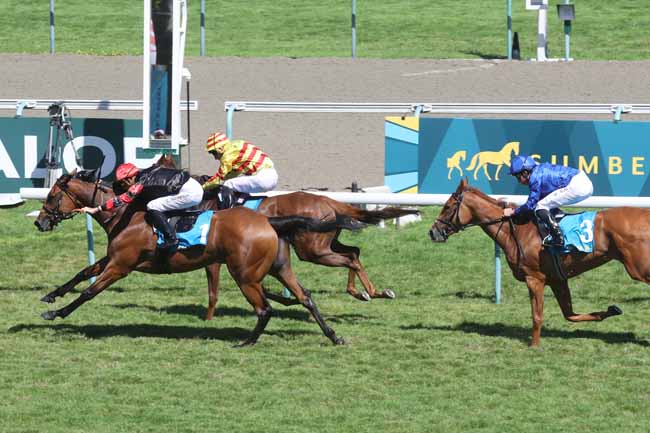 Photo d'arrivée de la course pmu SUMBE PRIX ALEC HEAD (PRIX DE LA NONETTE) à DEAUVILLE le Dimanche 20 août 2023