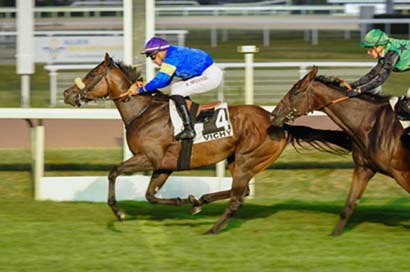 Photo d'arrivée de la course pmu PRIX DU PUY-EN-VELAY à VICHY le Lundi 21 août 2023