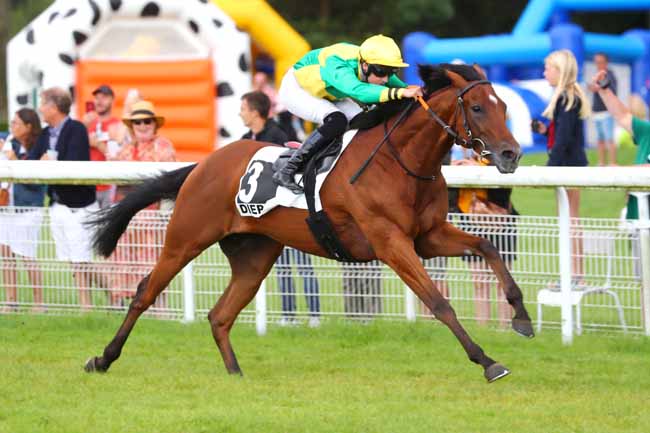 Photo d'arrivée de la course pmu PRIX DE LA PORTE DE TOURELLES à DIEPPE le Mardi 29 août 2023