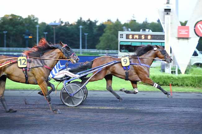Photo d'arrivée de la course pmu PRIX LAMPETIA à PARIS-VINCENNES le Vendredi 1 septembre 2023