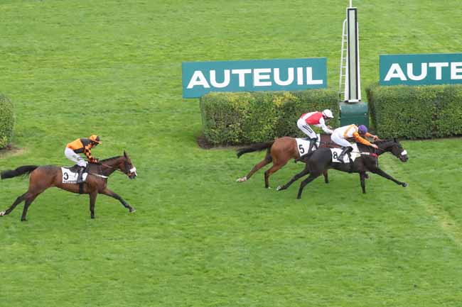 Photo d'arrivée de la course pmu PRIX WORLD CITIZEN à AUTEUIL le Vendredi 1 septembre 2023