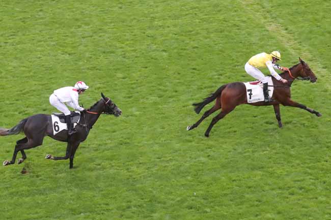 Photo d'arrivée de la course pmu PRIX DE GIEN à AUTEUIL le Vendredi 1 septembre 2023