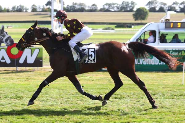 Photo d'arrivée de la course pmu PRIX PMU BAR DE L'ETOILE (PRIX GROUPE GENDRY - PRIX FANDANGO) à CRAON le Lundi 4 septembre 2023