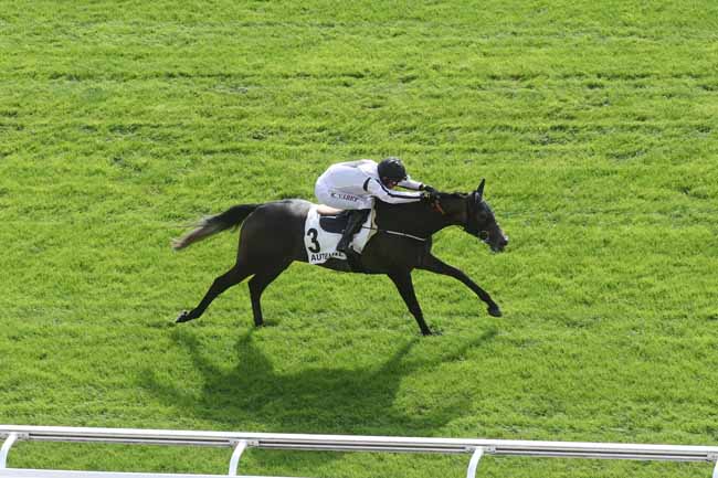 Photo d'arrivée de la course pmu PRIX PELAT à AUTEUIL le Mardi 5 septembre 2023